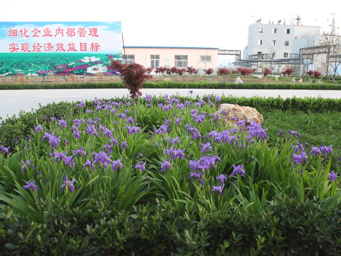 公司廠(chǎng)區